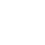 icon vision